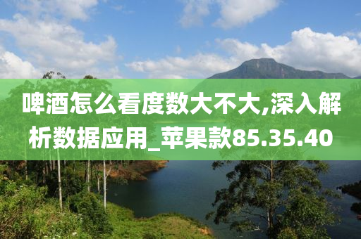 啤酒怎么看度数大不大,深入解析数据应用_苹果款85.35.40