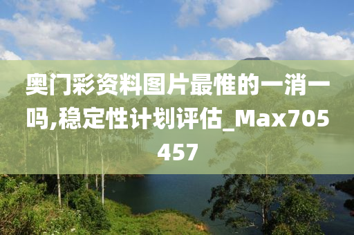 奥门彩资料图片最惟的一消一吗,稳定性计划评估_Max705457