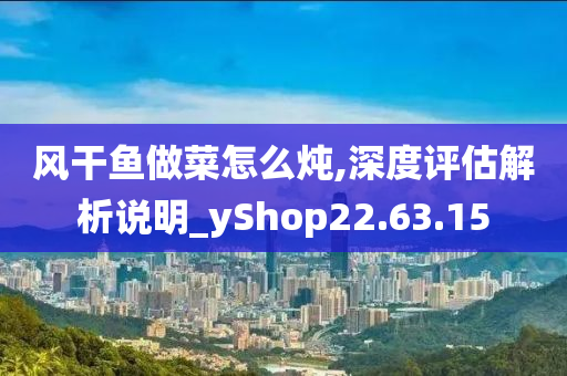 风干鱼做菜怎么炖,深度评估解析说明_yShop22.63.15