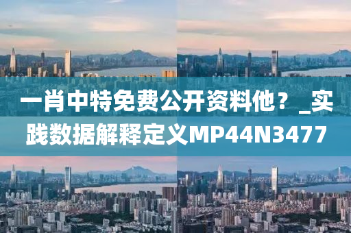 一肖中特免费公开资料他？_实践数据解释定义MP44N3477