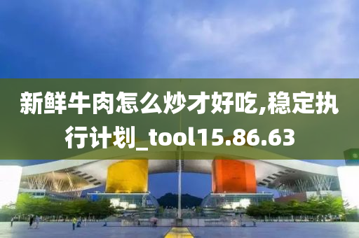 新鲜牛肉怎么炒才好吃,稳定执行计划_tool15.86.63