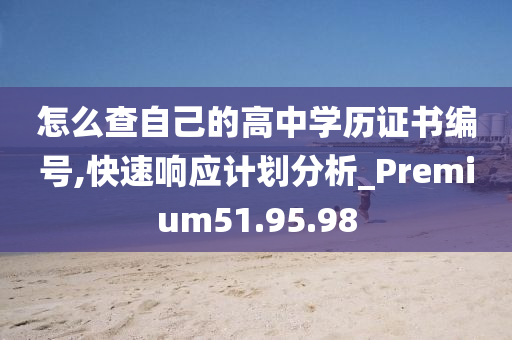 怎么查自己的高中学历证书编号,快速响应计划分析_Premium51.95.98