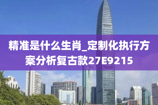 精准是什么生肖_定制化执行方案分析复古款27E9215