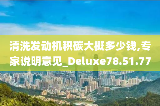 清洗发动机积碳大概多少钱,专家说明意见_Deluxe78.51.77