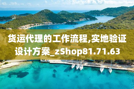 货运代理的工作流程,实地验证设计方案_zShop81.71.63