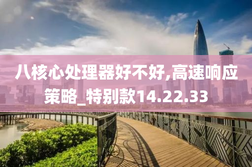 八核心处理器好不好,高速响应策略_特别款14.22.33