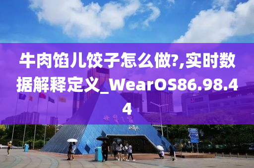 牛肉馅儿饺子怎么做?,实时数据解释定义_WearOS86.98.44