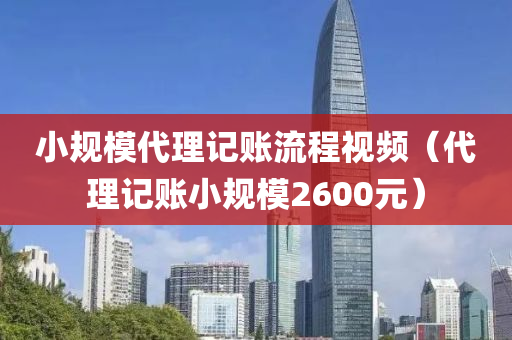 小规模代理记账流程视频（代理记账小规模2600元）