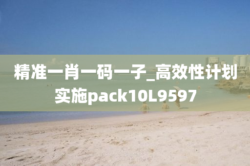 精准一肖一码一子_高效性计划实施pack10L9597