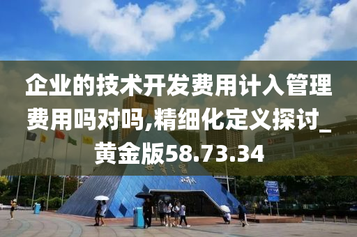 企业的技术开发费用计入管理费用吗对吗,精细化定义探讨_黄金版58.73.34