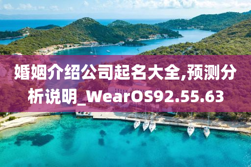 婚姻介绍公司起名大全,预测分析说明_WearOS92.55.63