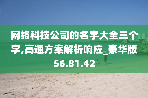 网络科技公司的名字大全三个字,高速方案解析响应_豪华版56.81.42