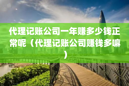 代理记账公司一年赚多少钱正常呢（代理记账公司赚钱多嘛）