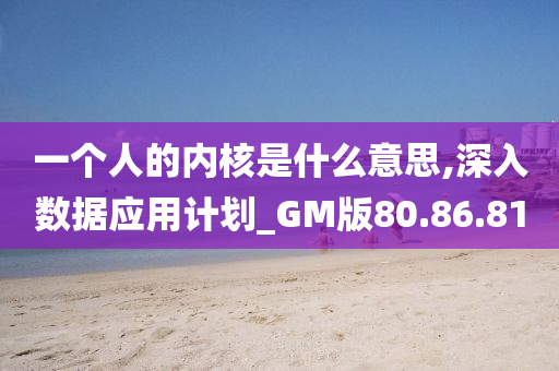 一个人的内核是什么意思,深入数据应用计划_GM版80.86.81