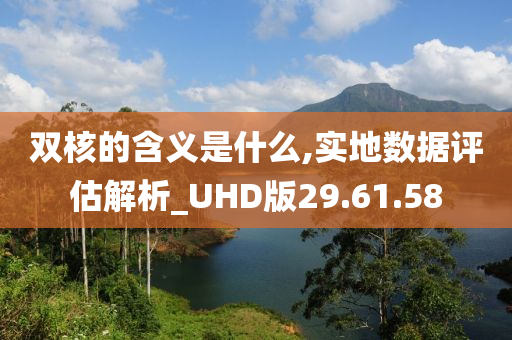 双核的含义是什么,实地数据评估解析_UHD版29.61.58