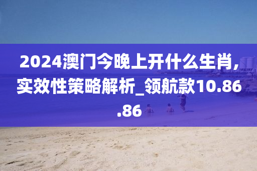 2024澳门今晚上开什么生肖,实效性策略解析_领航款10.86.86