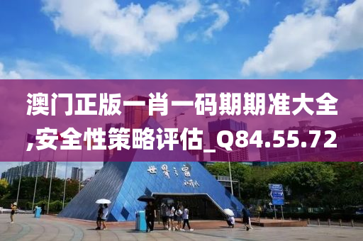 澳门正版一肖一码期期准大全,安全性策略评估_Q84.55.72