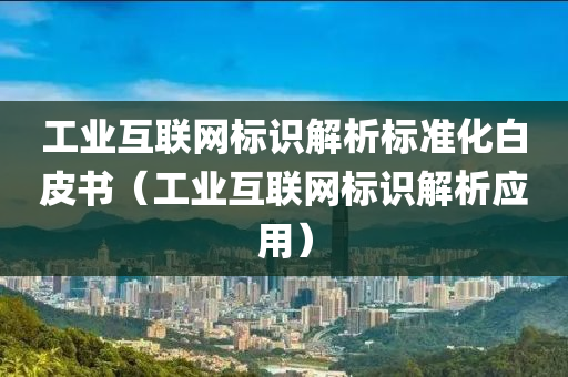 工业互联网标识解析标准化白皮书（工业互联网标识解析应用）