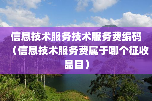 信息技术服务技术服务费编码（信息技术服务费属于哪个征收品目）