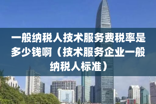 一般纳税人技术服务费税率是多少钱啊（技术服务企业一般纳税人标准）