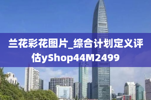 兰花彩花图片_综合计划定义评估yShop44M2499