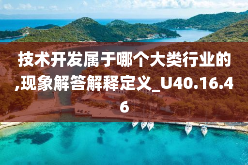 技术开发属于哪个大类行业的,现象解答解释定义_U40.16.46