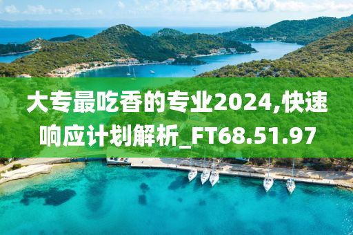 大专最吃香的专业2024,快速响应计划解析_FT68.51.97