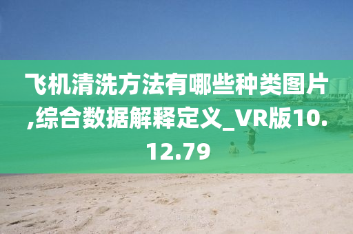 飞机清洗方法有哪些种类图片,综合数据解释定义_VR版10.12.79