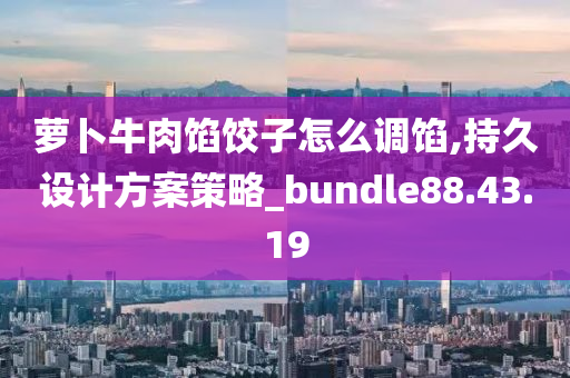 萝卜牛肉馅饺子怎么调馅,持久设计方案策略_bundle88.43.19