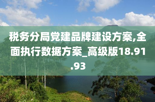 税务分局党建品牌建设方案,全面执行数据方案_高级版18.91.93