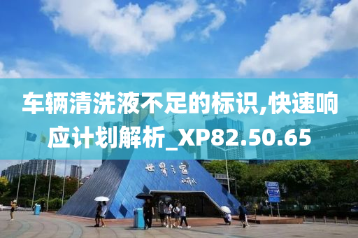 车辆清洗液不足的标识,快速响应计划解析_XP82.50.65