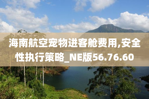 海南航空宠物进客舱费用,安全性执行策略_NE版56.76.60