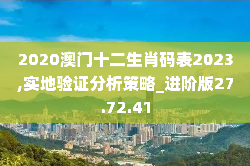 2020澳门十二生肖码表2023,实地验证分析策略_进阶版27.72.41