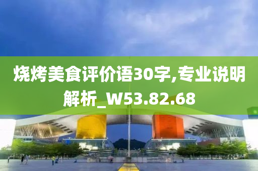 烧烤美食评价语30字,专业说明解析_W53.82.68