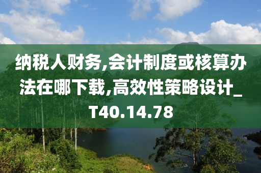 纳税人财务,会计制度或核算办法在哪下载,高效性策略设计_T40.14.78