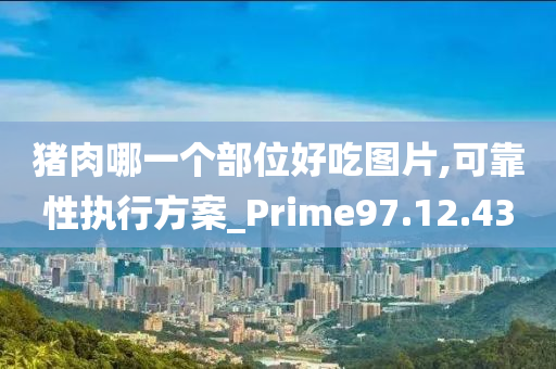 猪肉哪一个部位好吃图片,可靠性执行方案_Prime97.12.43