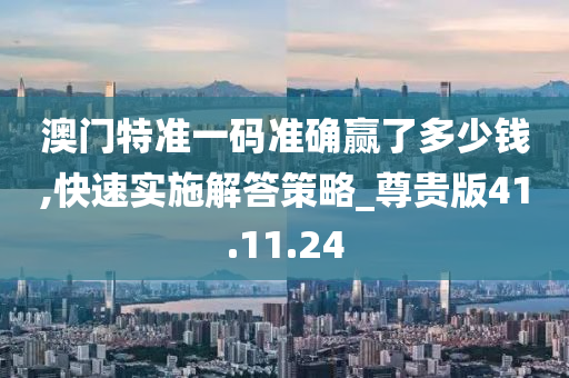 澳门特准一码准确赢了多少钱,快速实施解答策略_尊贵版41.11.24