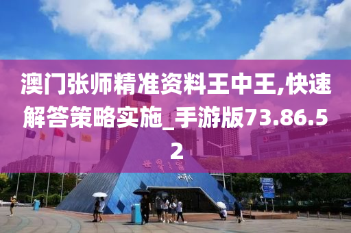 澳门张师精准资料王中王,快速解答策略实施_手游版73.86.52