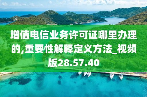 增值电信业务许可证哪里办理的,重要性解释定义方法_视频版28.57.40