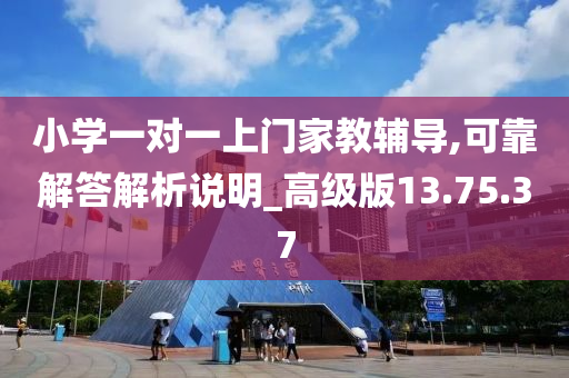 小学一对一上门家教辅导,可靠解答解析说明_高级版13.75.37