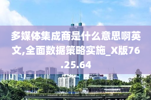 多媒体集成商是什么意思啊英文,全面数据策略实施_X版76.25.64