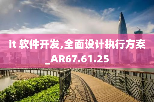 it 软件开发,全面设计执行方案_AR67.61.25