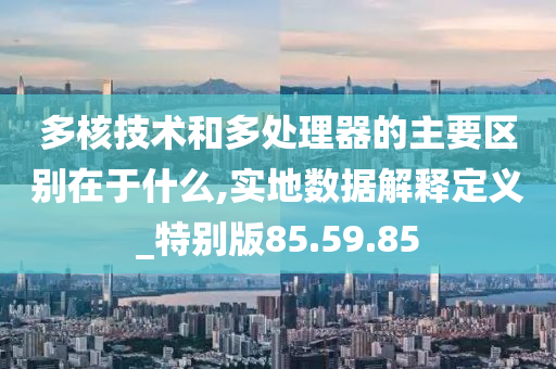 多核技术和多处理器的主要区别在于什么,实地数据解释定义_特别版85.59.85