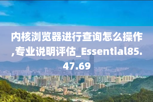 内核浏览器进行查询怎么操作,专业说明评估_Essential85.47.69