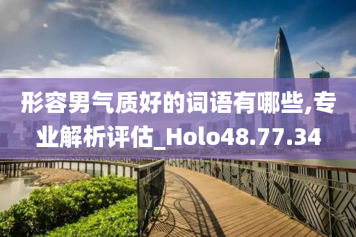 形容男气质好的词语有哪些,专业解析评估_Holo48.77.34