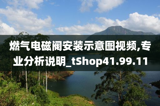 燃气电磁阀安装示意图视频,专业分析说明_tShop41.99.11