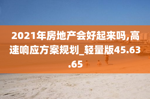 2021年房地产会好起来吗,高速响应方案规划_轻量版45.63.65