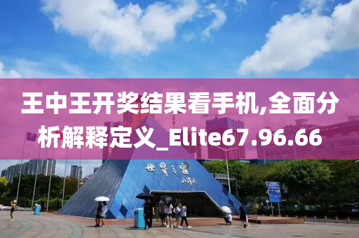 王中王开奖结果看手机,全面分析解释定义_Elite67.96.66