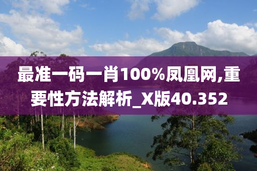 最准一码一肖100%凤凰网,重要性方法解析_X版40.352