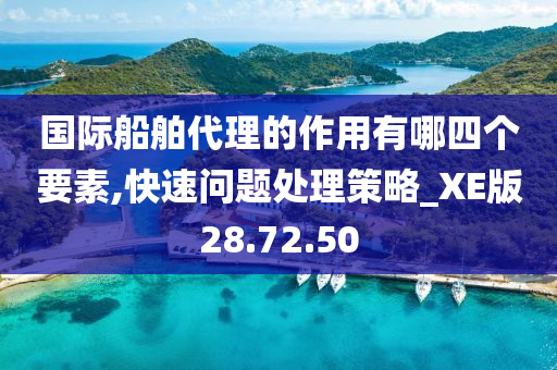 国际船舶代理的作用有哪四个要素,快速问题处理策略_XE版28.72.50